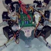 Hexapod Project : Introduction